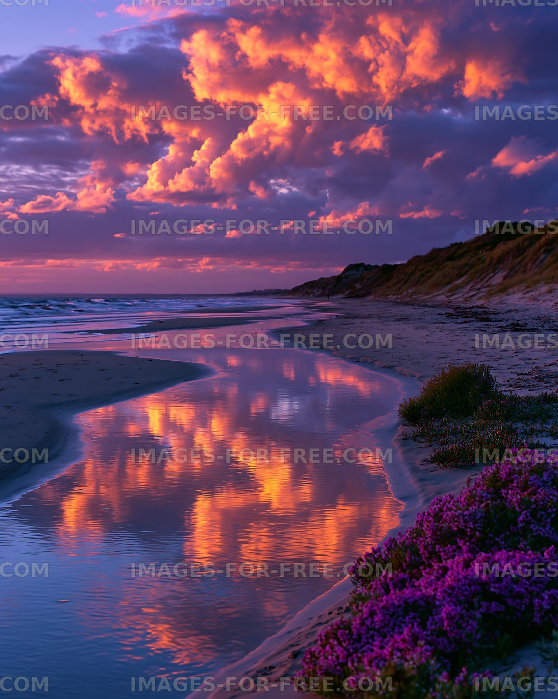 Sunset over beach with clouds and flowers in foreground