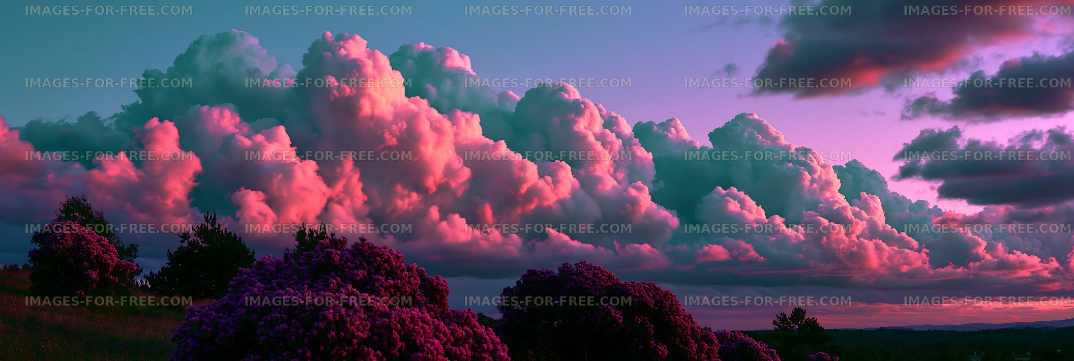 Colorful clouds at sunset over a hillside with flowers