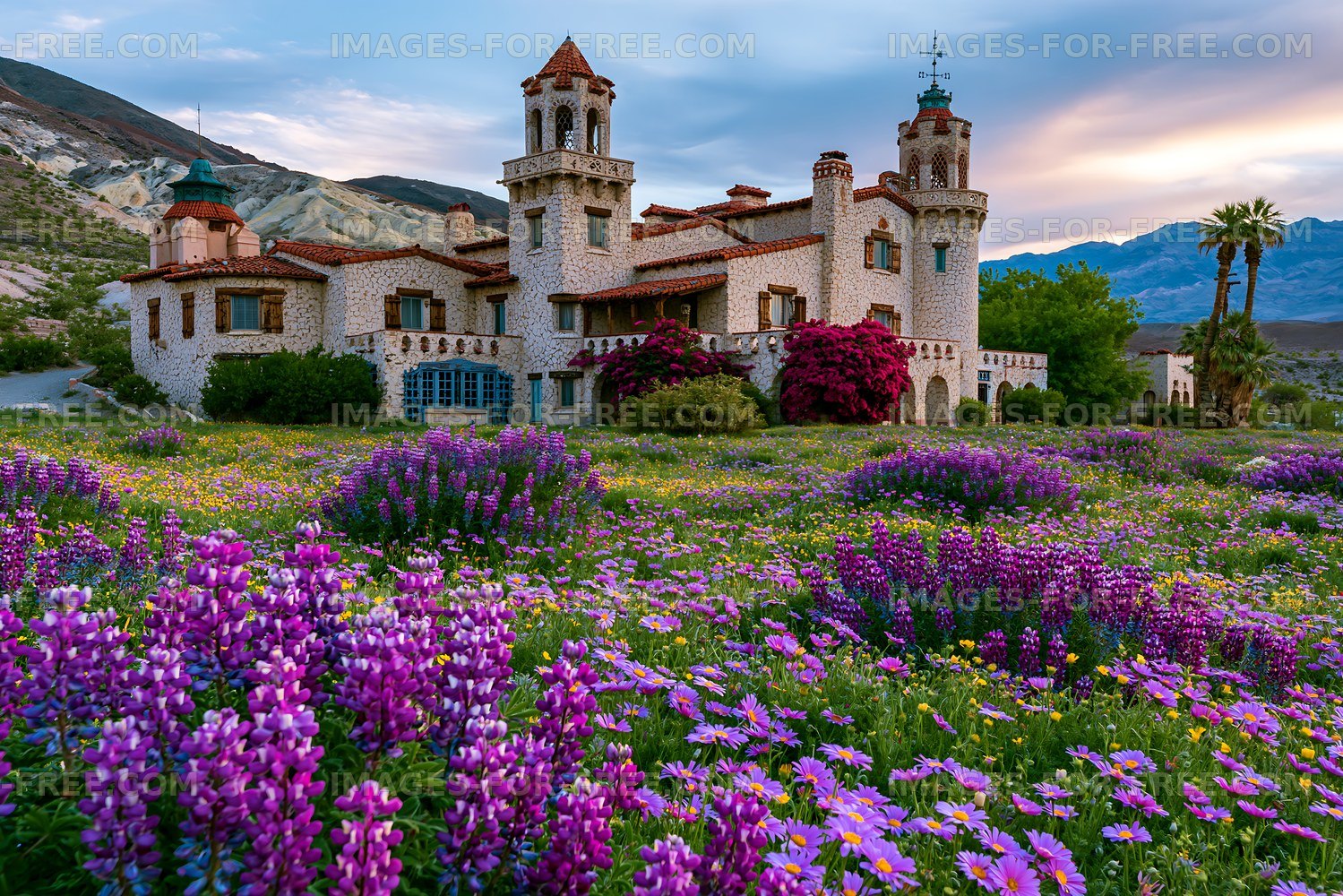 Vibrant flowers near a stone mansion at sunset in a valley