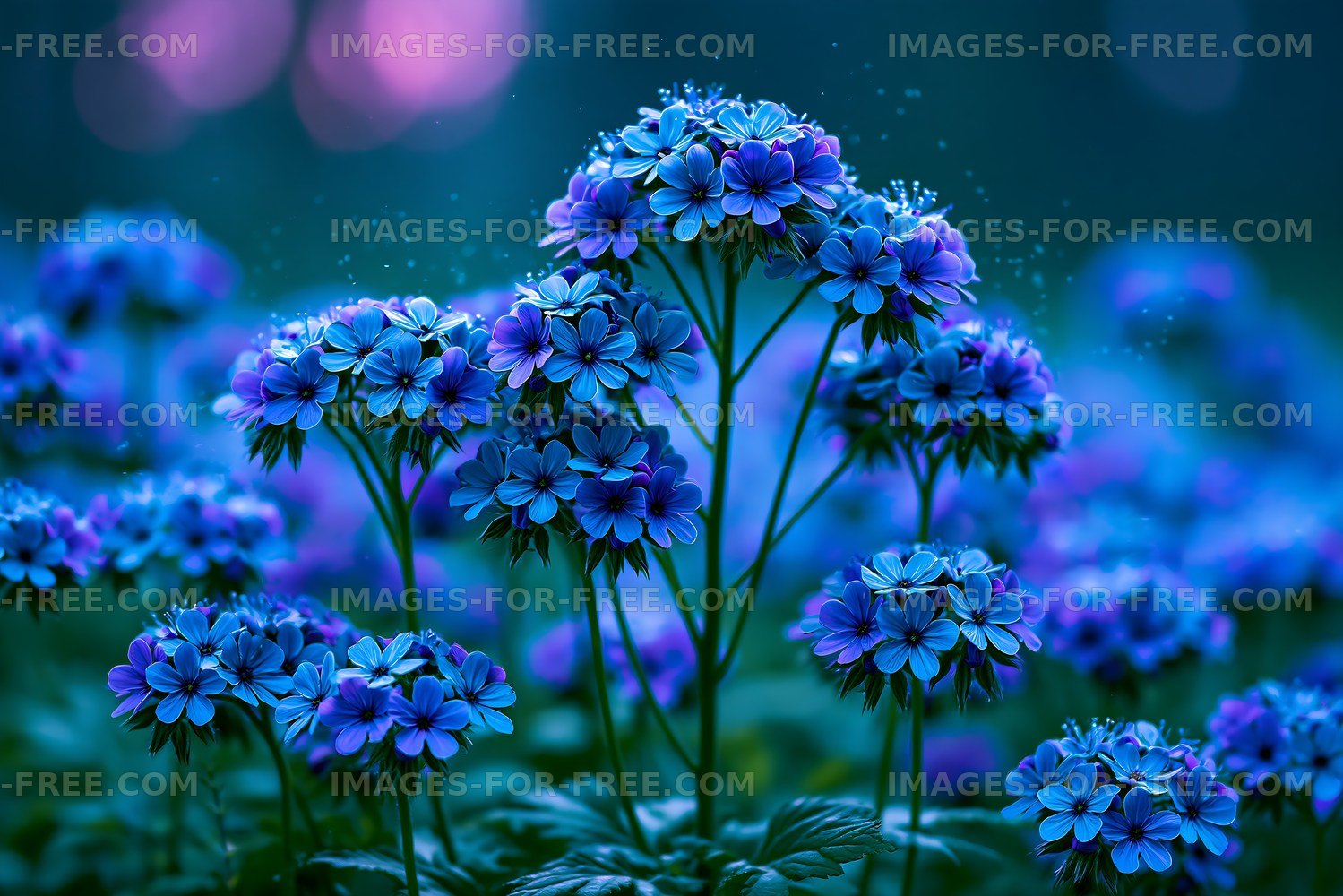 Vibrant blue flowers in a garden during twilight