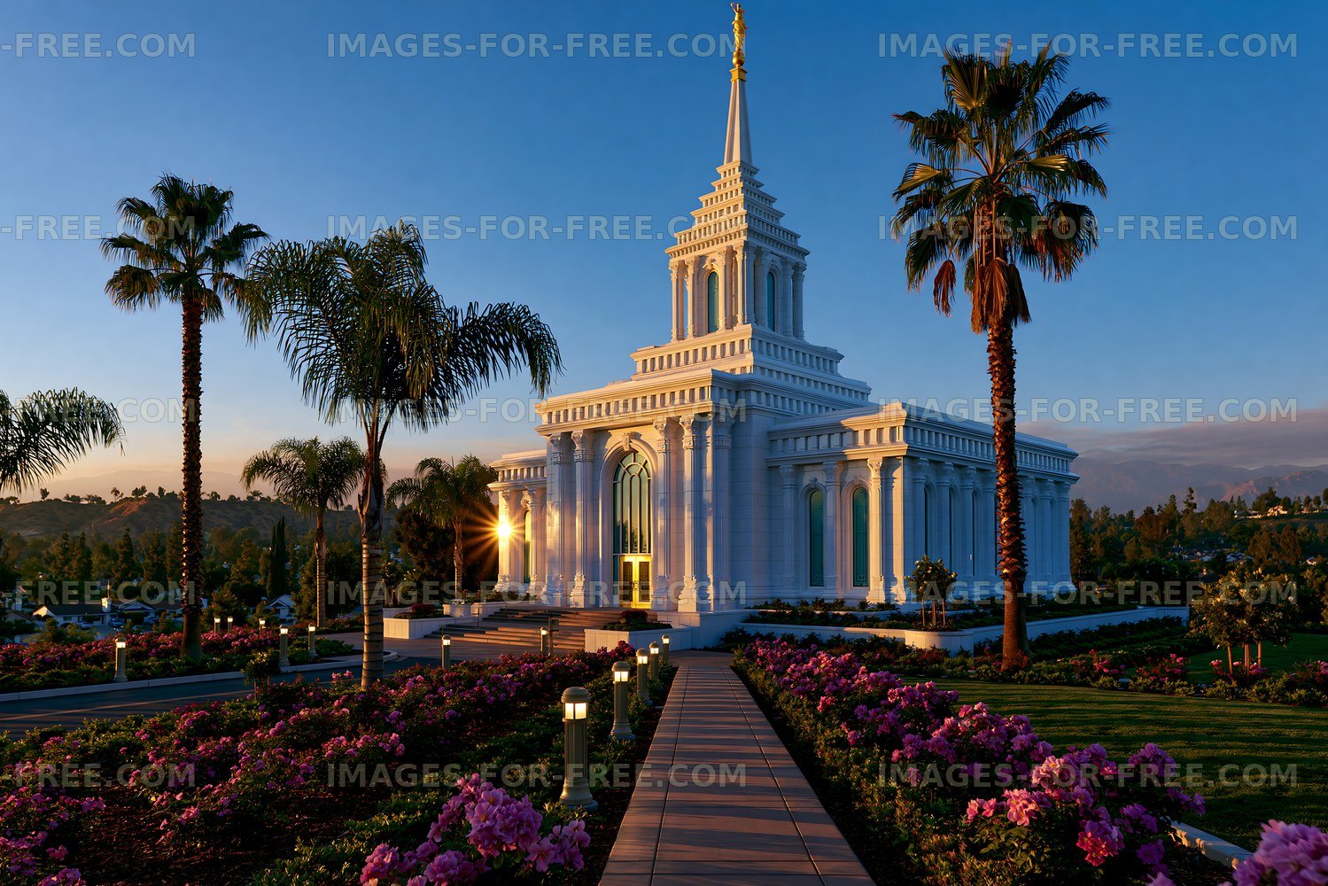 Sunset view of a temple surrounded by palm trees and flowers