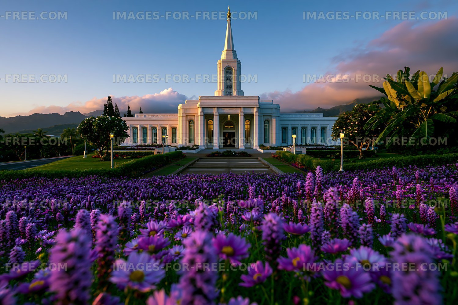 Colorful flowers in front of the temple at sunset