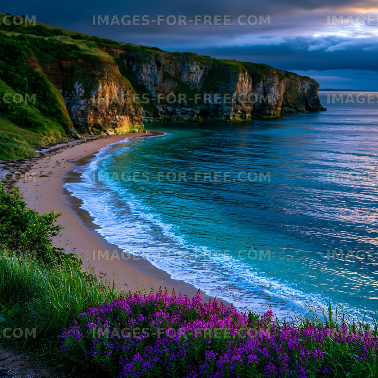 Coastal view with cliffs, beach, and flowers in nature setting