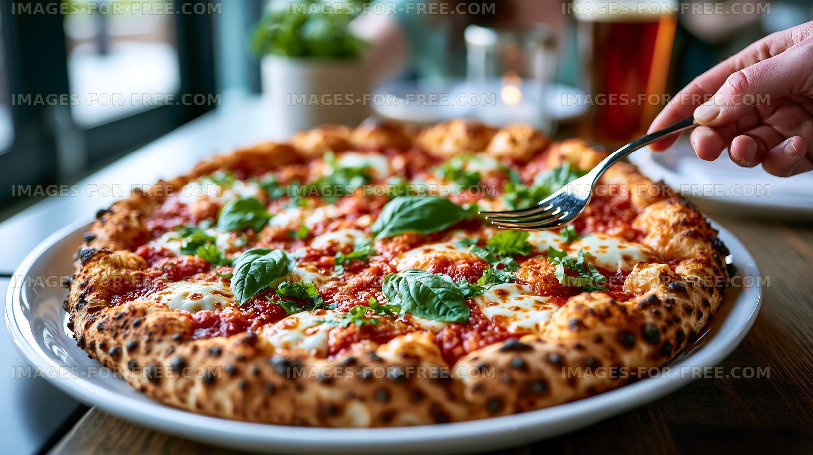 Fresh Margherita pizza served on a plate