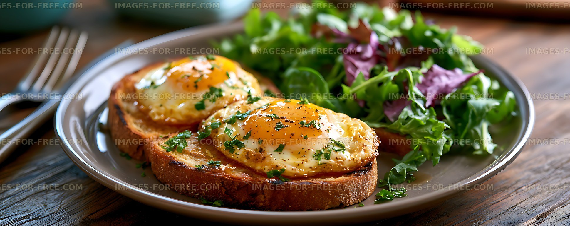 Toasted Bread Topped with Fried Eggs and Salad