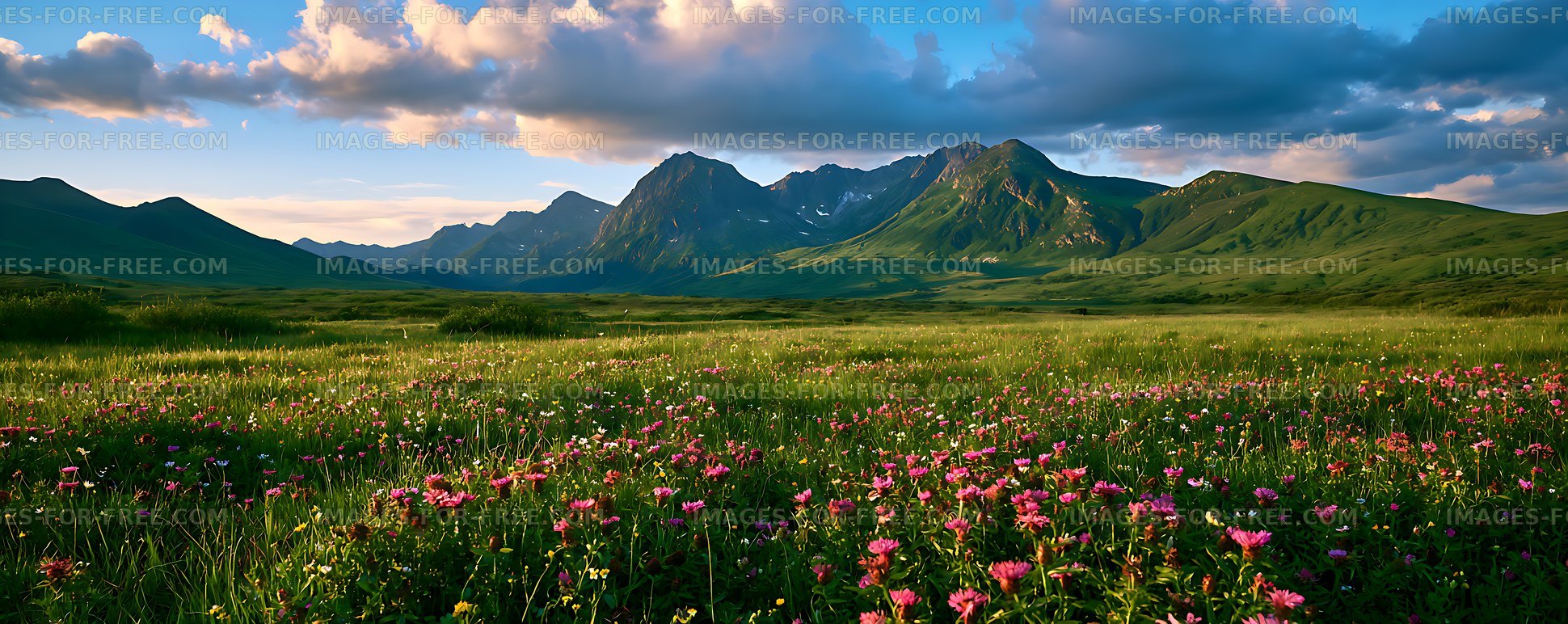 Colorful alpine meadow with rugged mountains and clouds