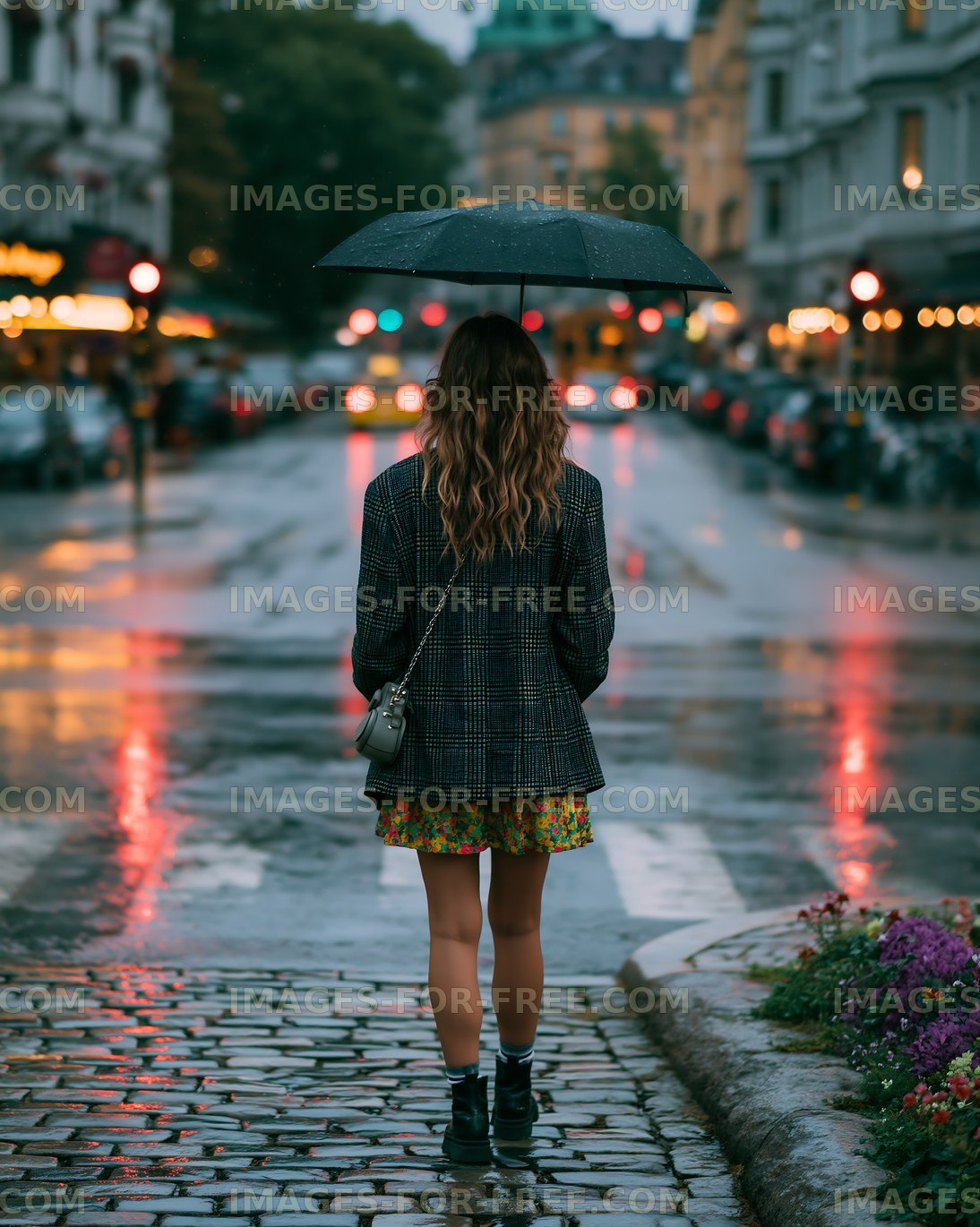 Back View of Woman with Umbrella in Rainy City