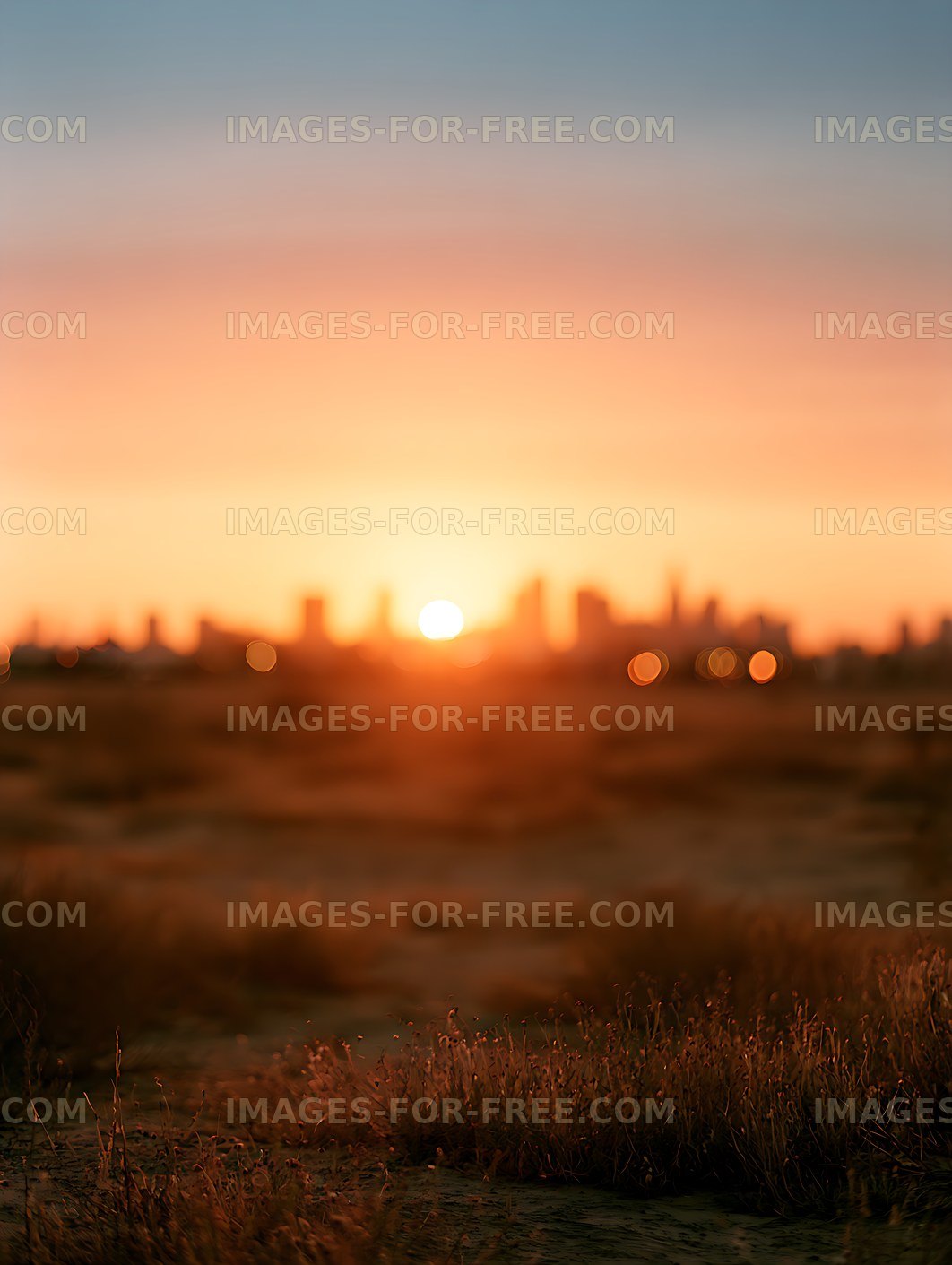 Warm Blurred Sunset and City Skyline