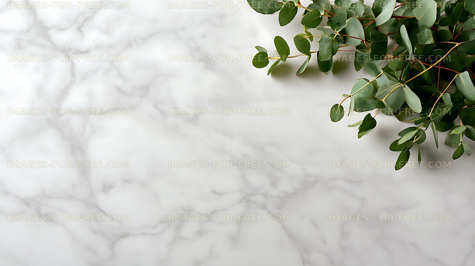 Green eucalyptus foliage over white marble surface