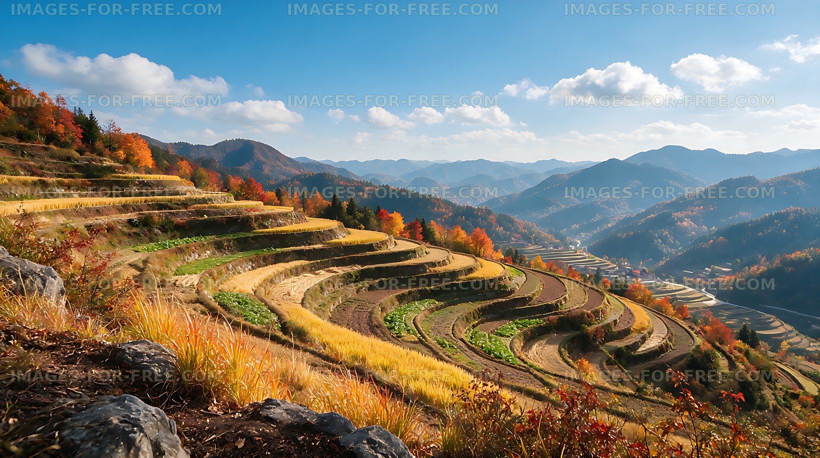 Mountain terraces and autumn valley panorama