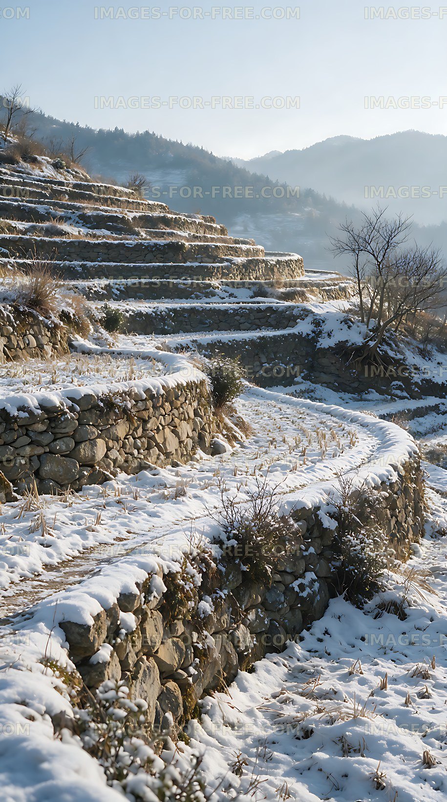 Winter terraced fields with stone walls and mountain mist