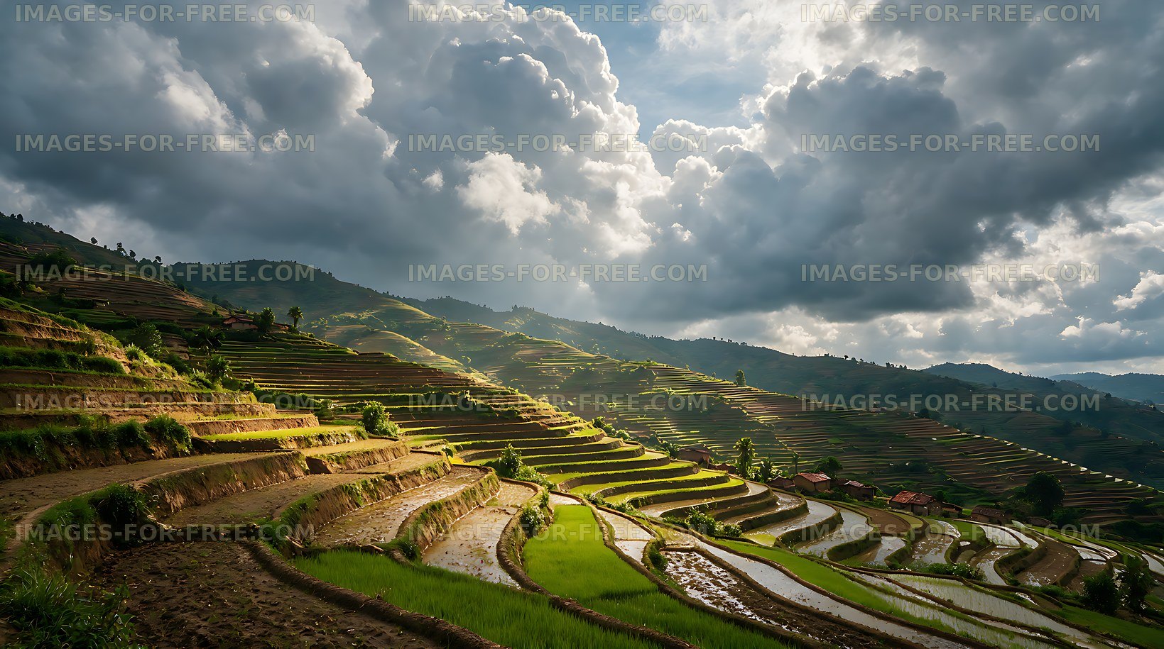 Mountain rice terraces under dramatic sunlight and clouds