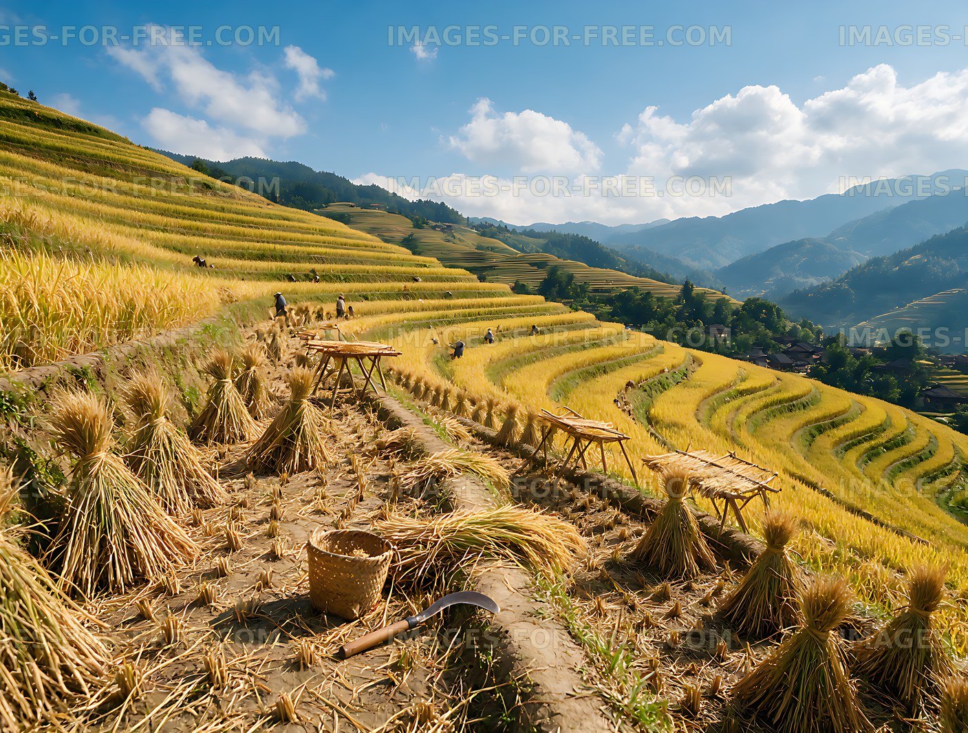 Harvested terraces across a sunny mountain valley
