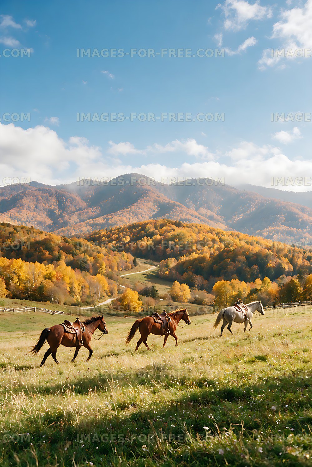Three riders on horseback in a mountain meadow