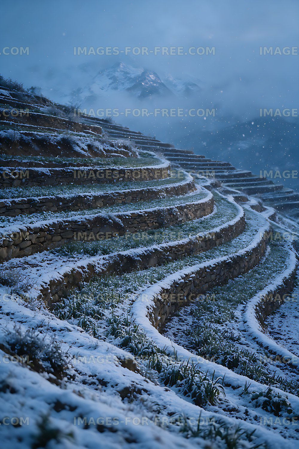 Snowy mountain terraces in falling snow