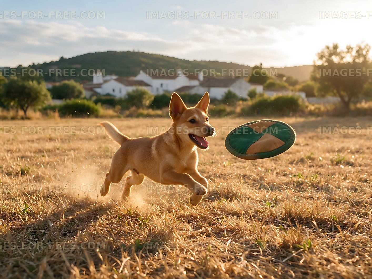 Happy puppy jumping after a toy outdoors