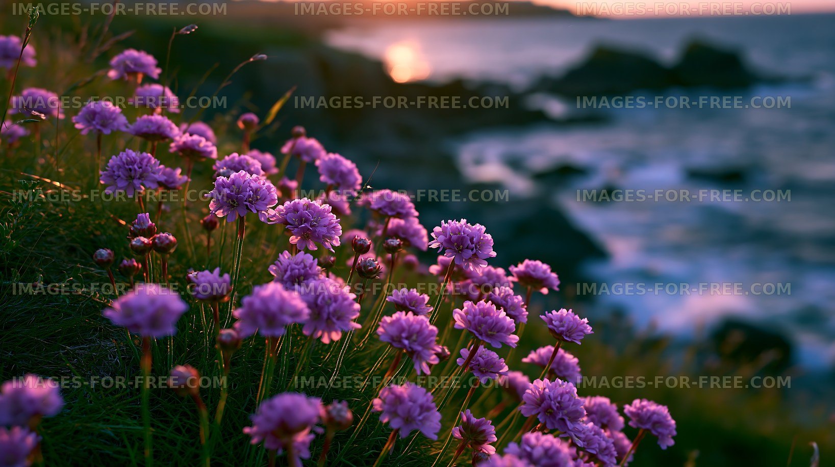 Flowers by the ocean at sunset
