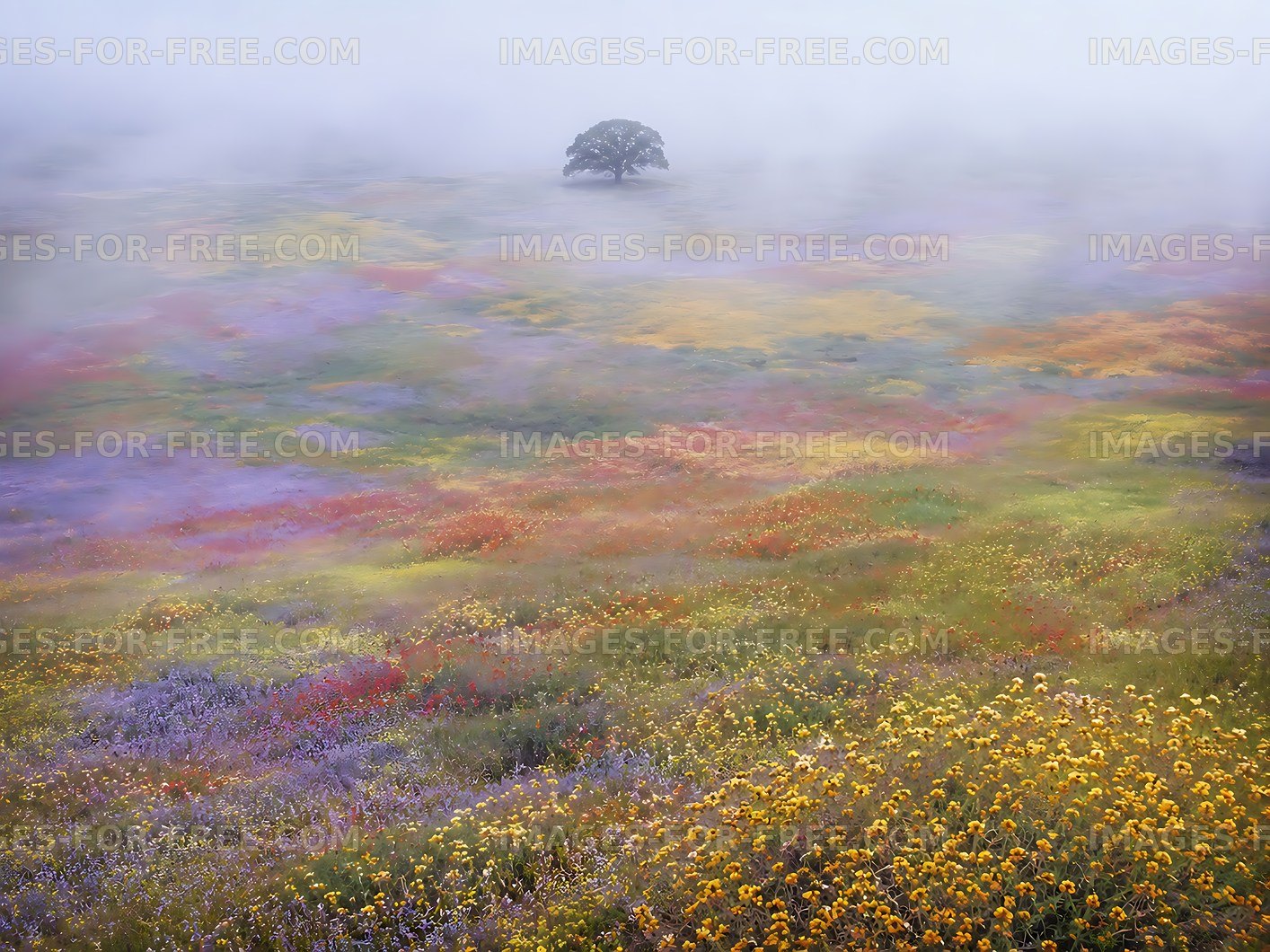 Vast field of colorful wildflowers with a lone tree