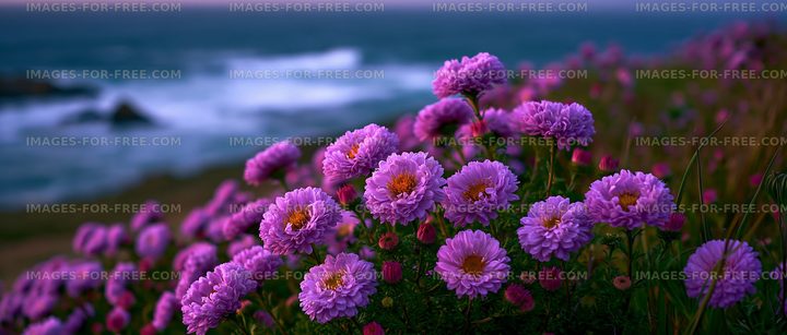 Purple flowers by the ocean at sunset