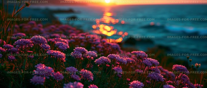 Flowers bloom near ocean at sunset