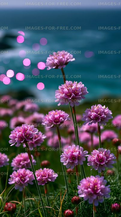 Pink flowers bloom by the ocean shore