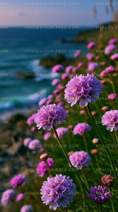 Purple flowers blooming by the ocean shore