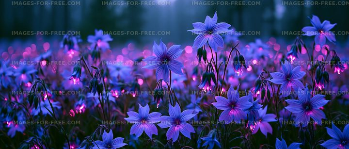 Colorful flowers in a forest during twilight