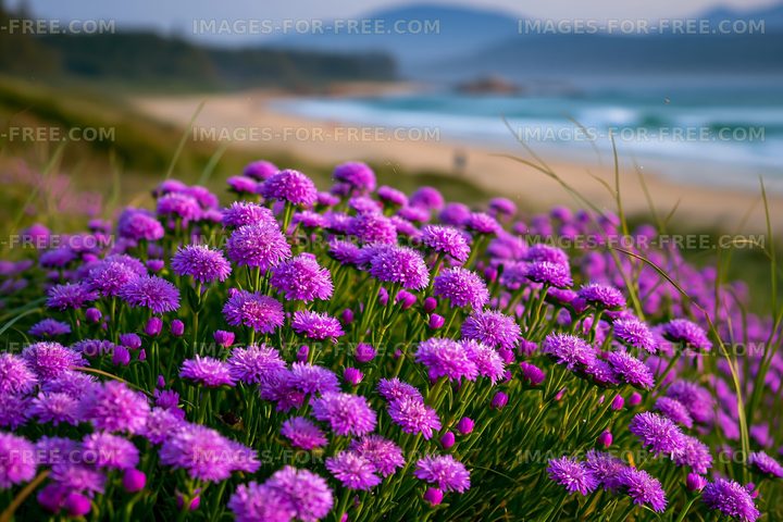 Purple flowers near a beach with waves and mountains in background