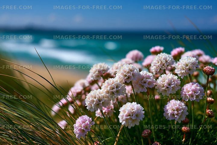 Flowers in front of the beach with ocean waves in the background