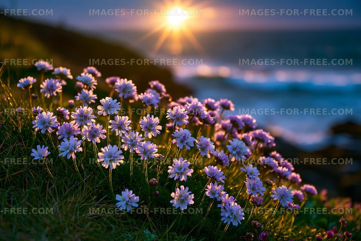 Flowers bloom by the ocean at sunset