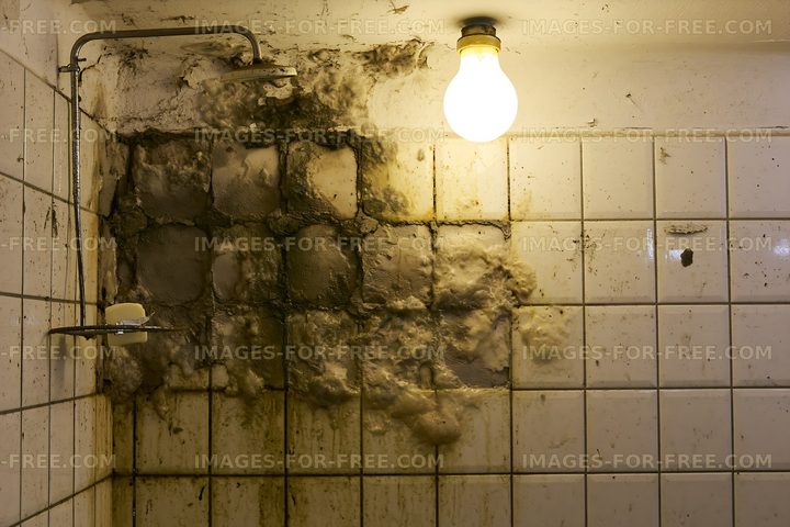 Mold and dirt in a bathroom shower area