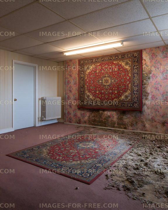 Empty room with a worn carpet and peeling wallpaper