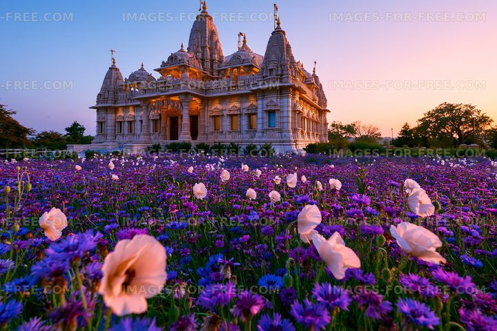 Sunset view of a temple surrounded by flowers