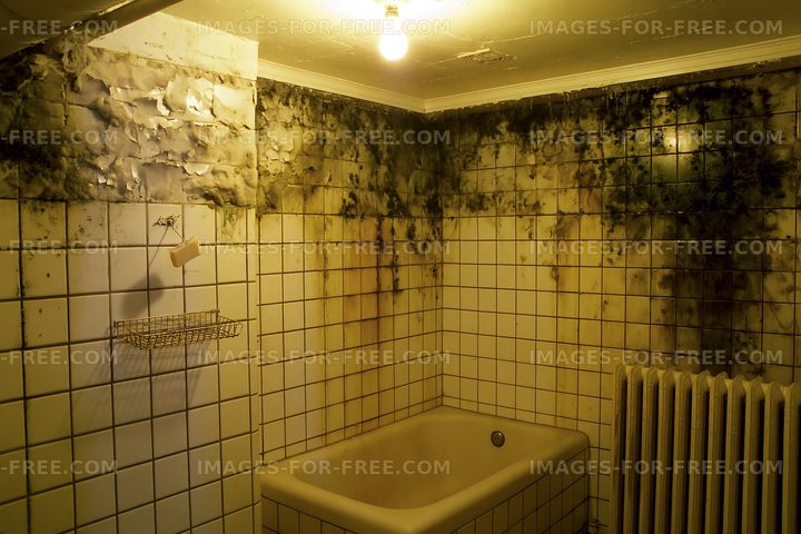 Moldy bathroom with damaged walls and dirty tiles