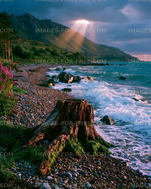 Sunlight breaks through clouds over rocky beach with driftwood