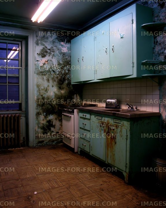 Abandoned kitchen with peeling walls and old appliances