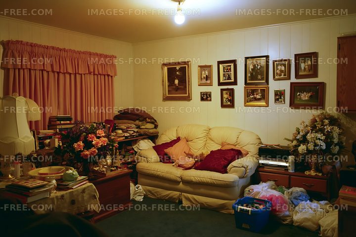 Living room with bookshelves and family photos in a cozy setting
