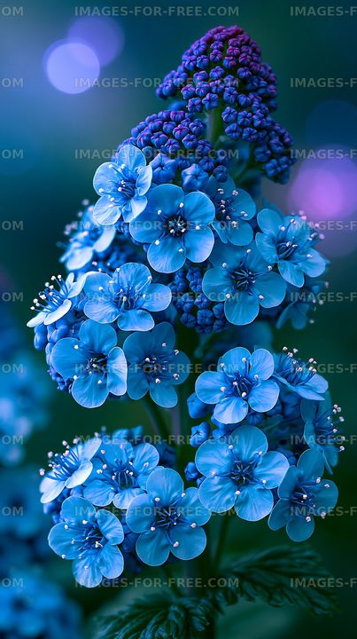 Bright blue flowers in a natural setting during the day