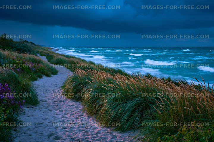 Stormy beach scene with grass and waves during twilight