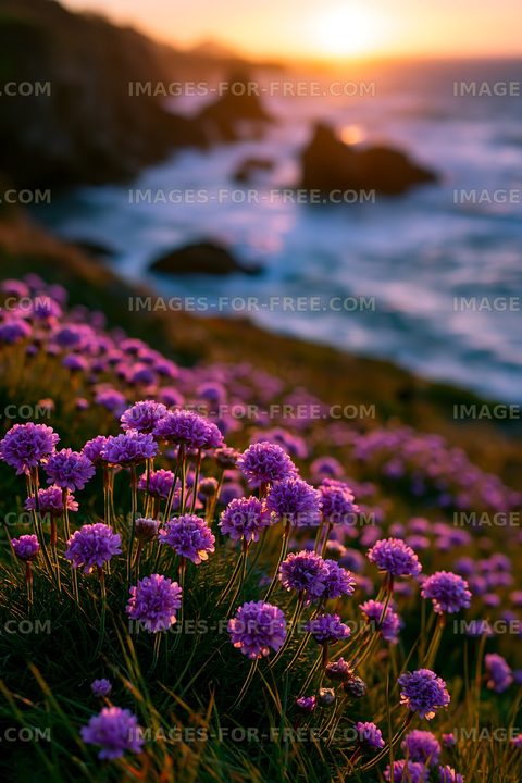 Purple flowers bloom by the ocean at sunset
