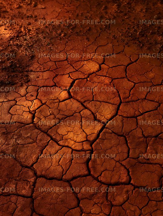 Cracked earth surface with dry soil and irregular patterns