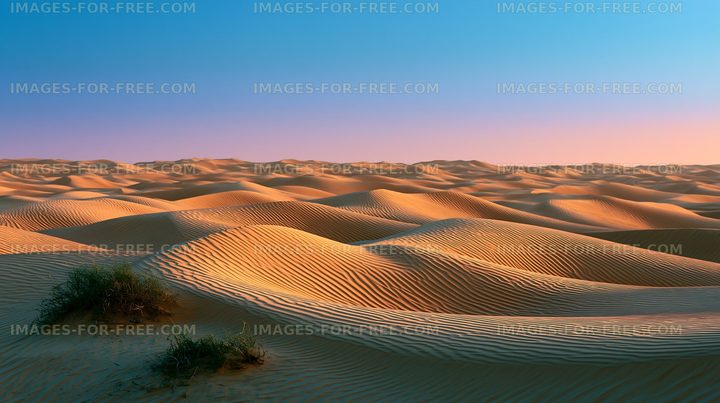 Sand dunes under a blue sky at sunset in a desert landscape