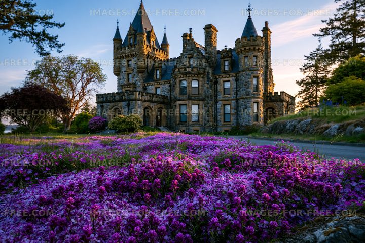 Elegant mansion surrounded by blooming purple flowers