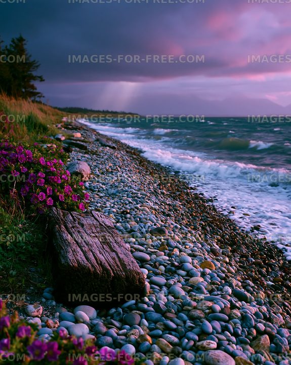 Pebble beach with wildflowers and ocean waves