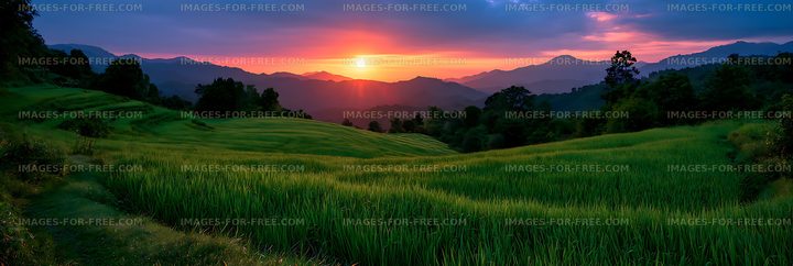 Panoramic sunset across green terraced fields and mountains