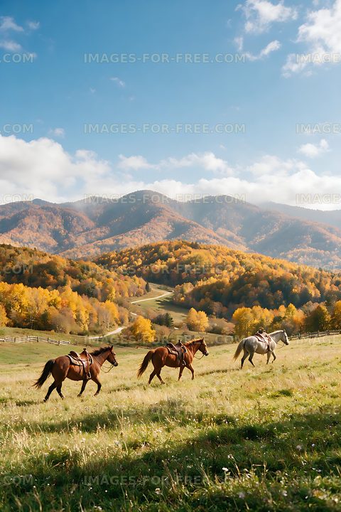 Three riders on horseback in a mountain meadow