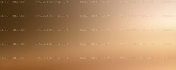 Soft warm brown beige gradient backdrop