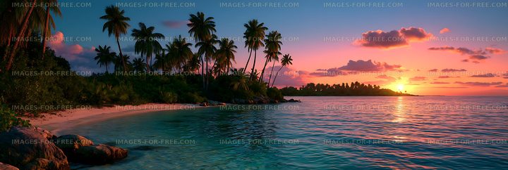 Palm-lined tropical coast during a vibrant sunset