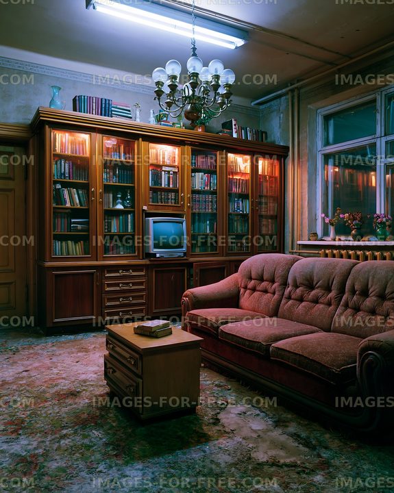 Cozy living room with bookshelves and vintage furniture